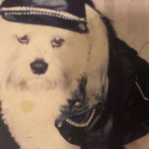 Meet your Posher, Lynn